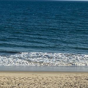 Meet your Posher, Alina